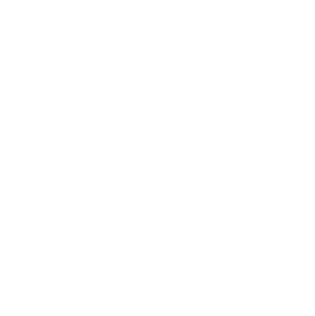 Dice